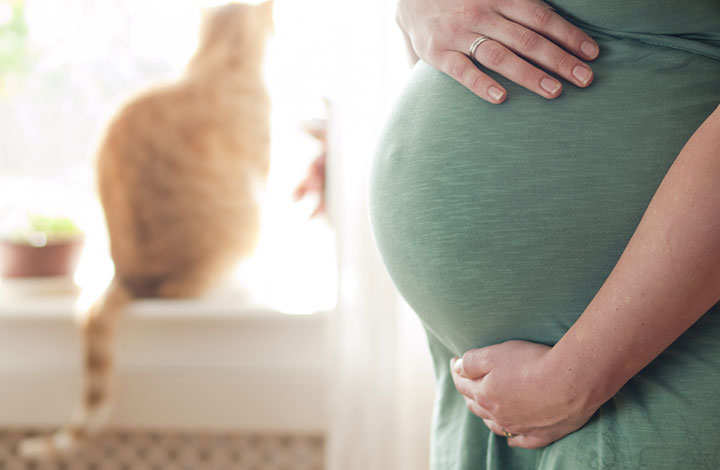 Λιστερίωση και Τοξοπλάσμωση - Πώς να Αποφύγετε αυτές τις Επικίνδυνες για την Εγκυμοσύνη Παθήσεις;