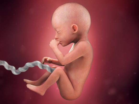 pregnancy-week-20-fetal-movement 4x3