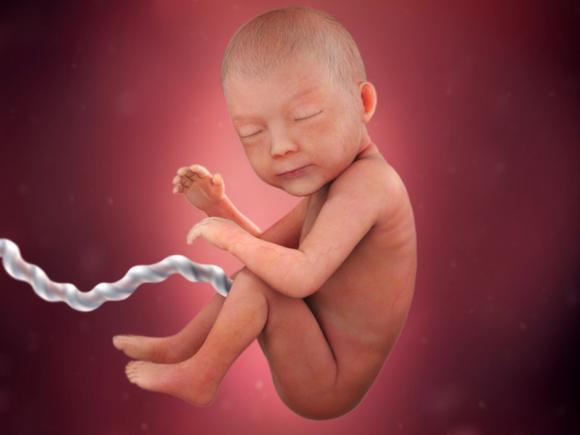 pregnancy-week-30-amniotic-fluid 4x3