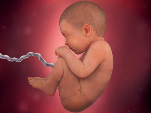 pregnancy-week-41-amniotic-fluid 4x3