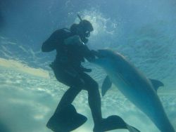 παιδί θεραπεία με δελφίνια