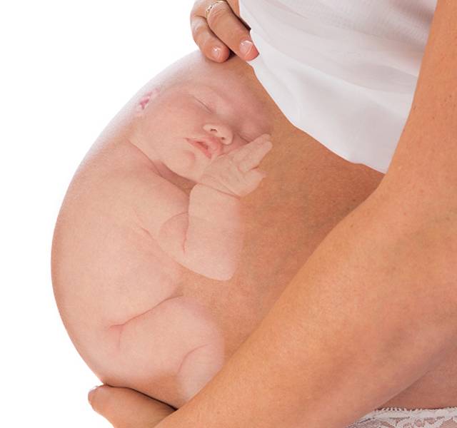 Μητέρα- Έμβρυο: ένα δεσμός που αρχίζει από πολύ νωρίς