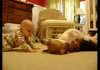 Σκύλος συναντά μωρό για πρώτη φορά (και...λιώνει) 