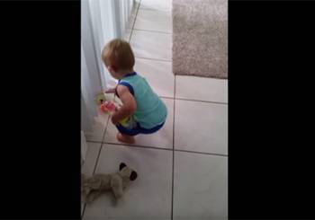 Ένα μωρό με μεγάλη υπομονή (βίντεο)