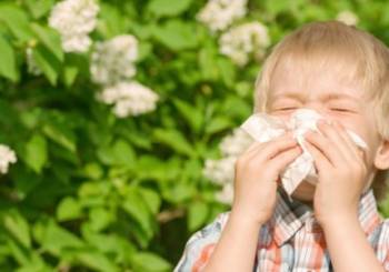 7 βότανα για την ανακούφιση από τα συμπτώματα αλλεργίας στα παιδιά. 
